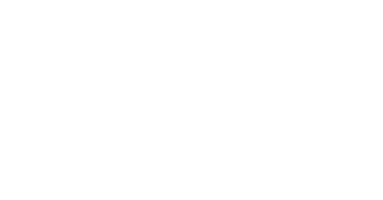 HEIDI – Heimat Digital
